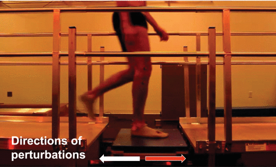 A participant walking on the perturbation platform, which translates fore-aft beneath the stance foot.