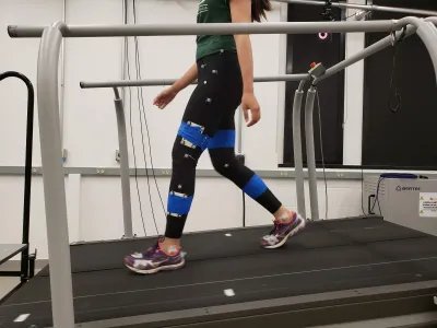 A participant with motion-capture markers and blue joint wraps walks on the treadmill used for the perturbation trials.