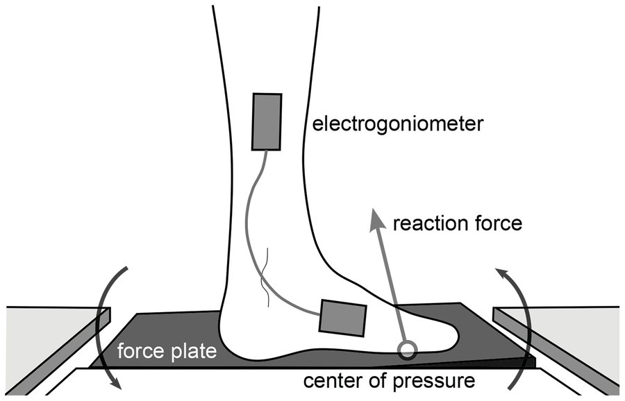 Diagram of the instrumented ankle-foot setup, showing the electrogoniometer, force plate, and ground reaction force.
