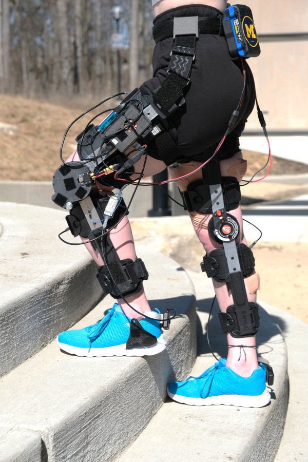 A participant wearing the versatile knee exoskeleton climbs outdoor steps.