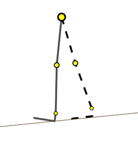 Stick-figure diagram of the simulated biped walking model, showing stance and swing leg configuration.